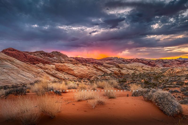 ValleyofFire2_BKT5516
