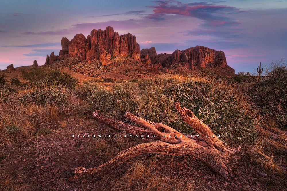 Superstition1altb_D855350