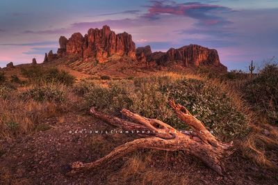 Superstition1altb_D855350