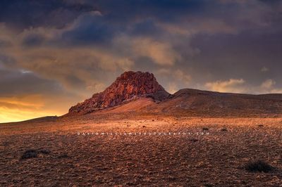 Mitten-Rock_D850940