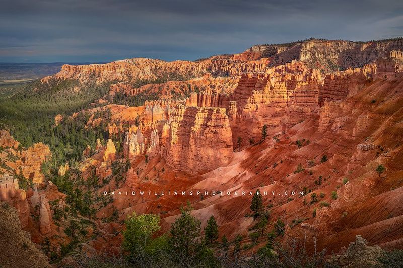 Bryce-Sunset-Point_NZ91463
