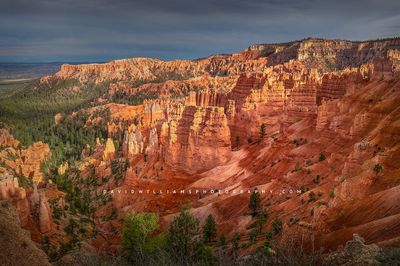 Bryce-Sunset-Point_NZ91463