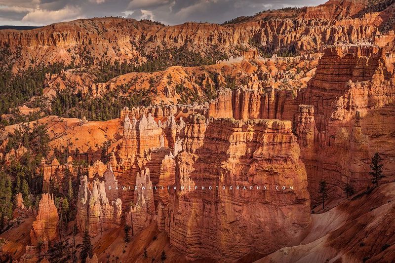 Bryce-Sunset-point-2_NZ91481