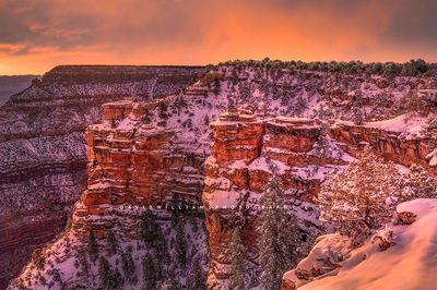 Winterwonderland_D851242