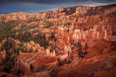 Bryce-Sunset-Point_NZ91487