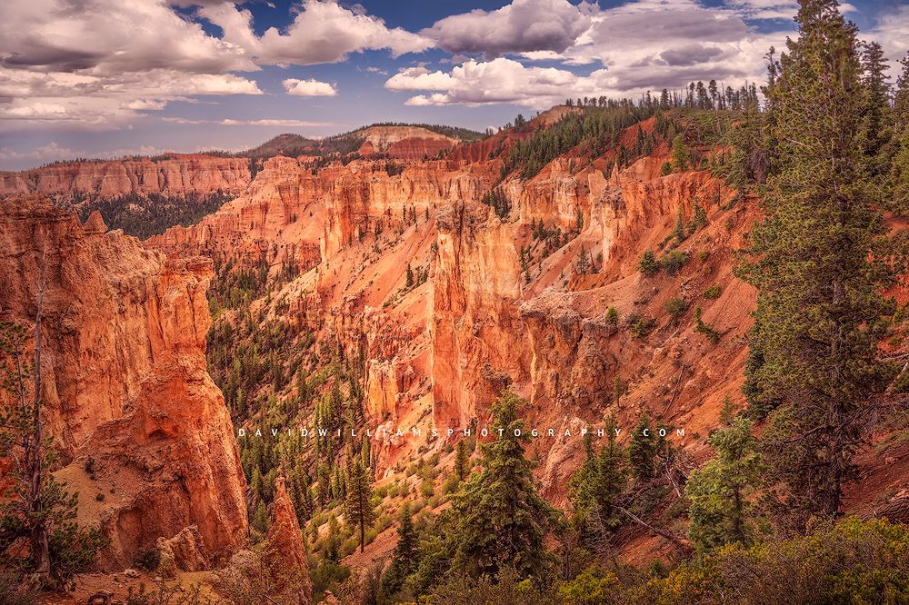 Bryce-Black-Birch-Canyon_NZ91845
