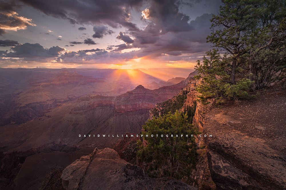 Grand-Canyon-Yavapai-Point_D853144