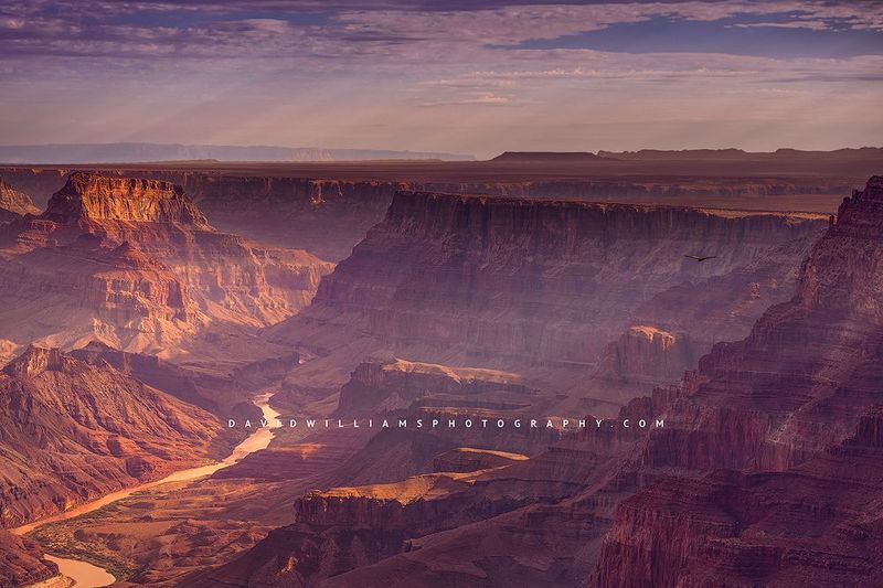 Grand-Canyon_NZ94092