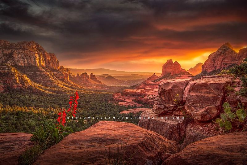 Into-the-Horizon_D859652