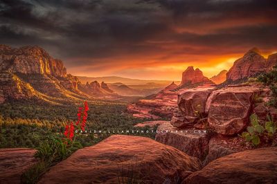 Into-the-Horizon_D859652