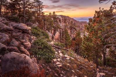 Mogollon-Rim-3_BKT4413
