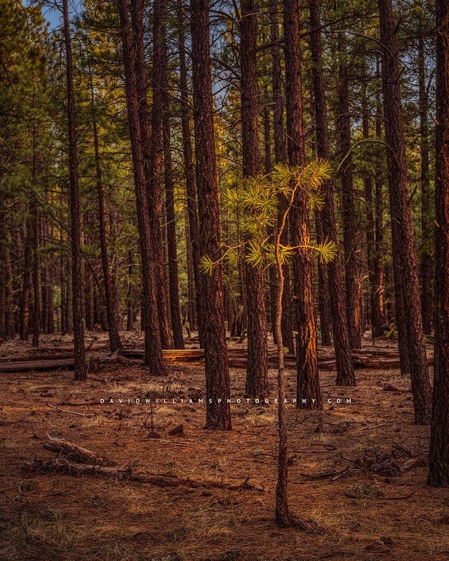 Social-Distancing_D859399
