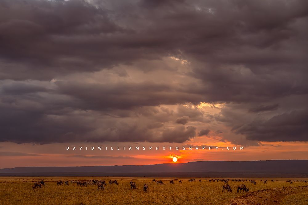 African-Sunset_BKT3453