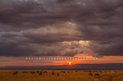 African-Sunset_BKT3453