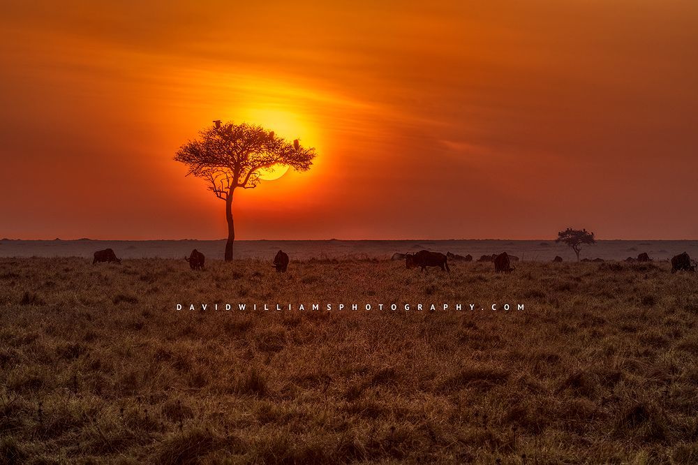 African-Sunset_BKT3530