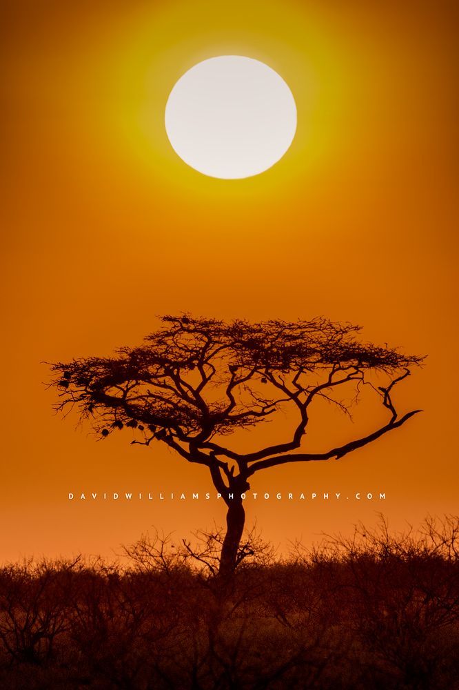 Samburu-Sunrise_BKT6570
