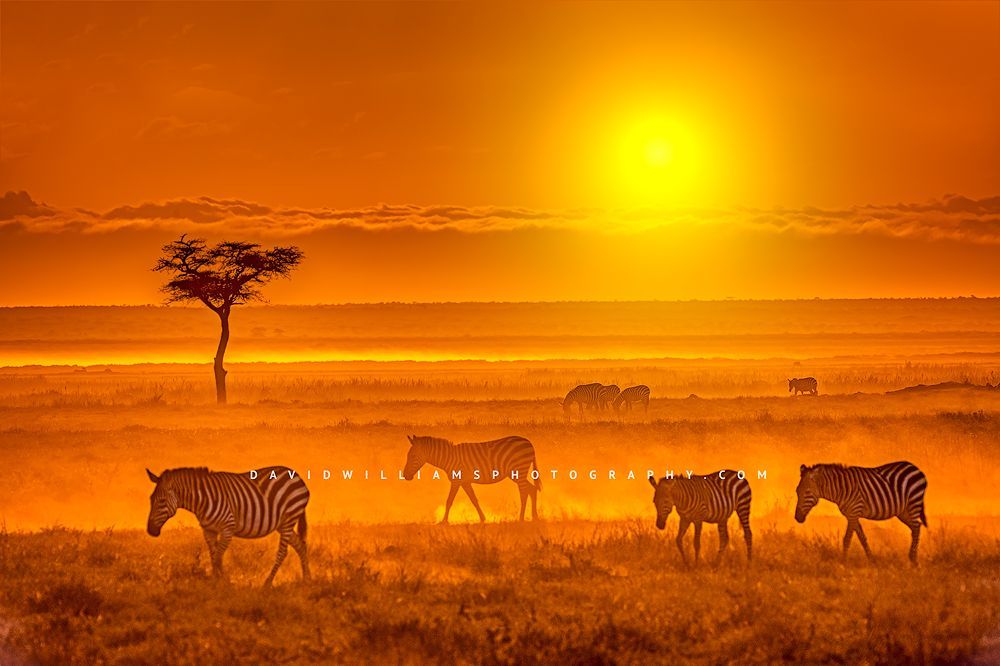 Amboselisunset_D854586