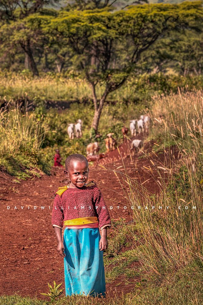 African Sheepherd Girl NZ92127