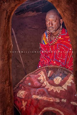 Maasai Warrior 0Z82629