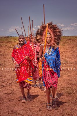 Maasai Warrior GP NZ99420