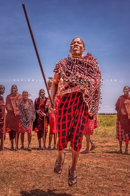 Maasai Jump NZ99512