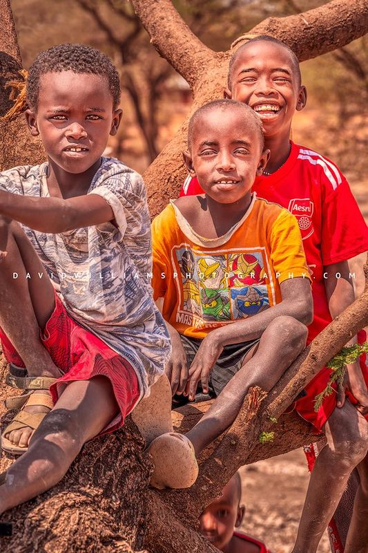 Maasai Children NZ92701