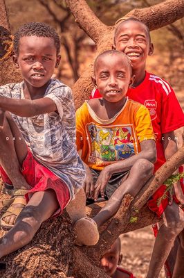 Maasai Children NZ92701