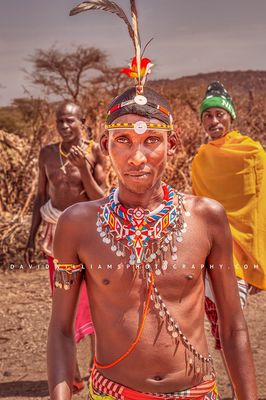 Maasai GP NZ92629