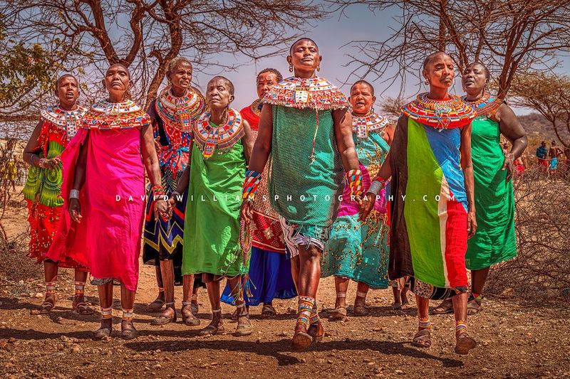 Maasai GP NZ90368