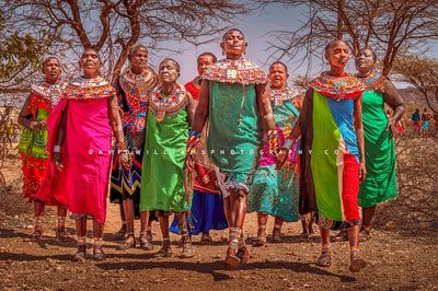 Maasai GP NZ90368