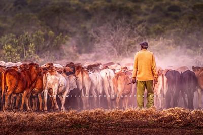 Maasai S NZ99754