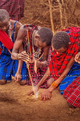 Maasai Fire NZ97875