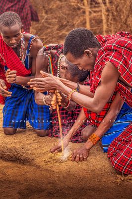 Maasai Fire NZ97883