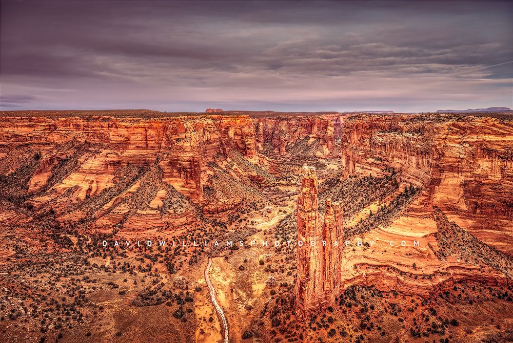 Spider Rock NZ91633