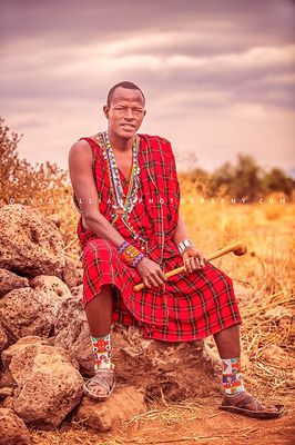 Maasai-Warrior_D855667