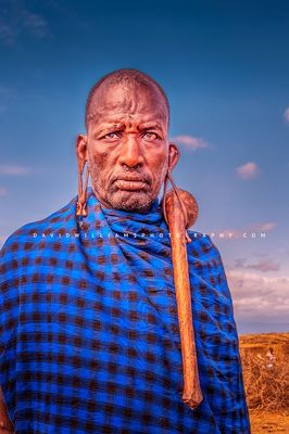 Maasai-Male D854877