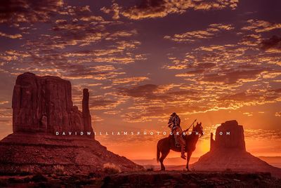 Horseman-5_NZ99324