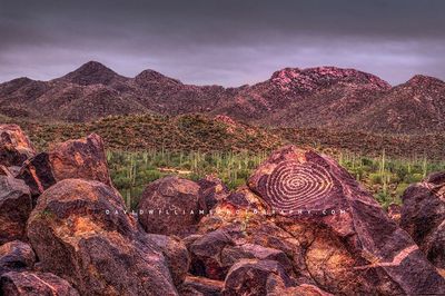 Signal-Hill_D855873