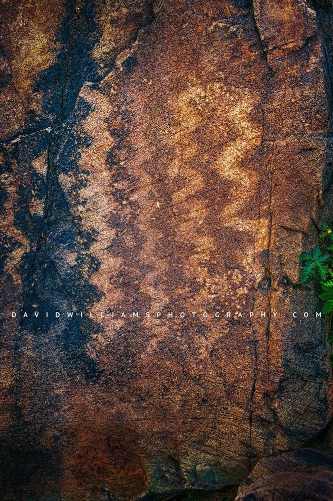 SaguaroPetroglyph4_D855721