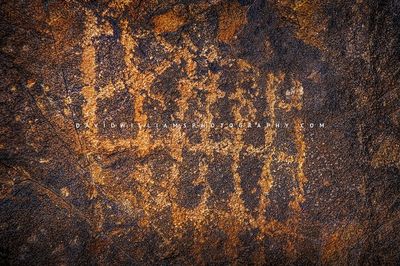 Saguaro-Petroglyph6_D855757