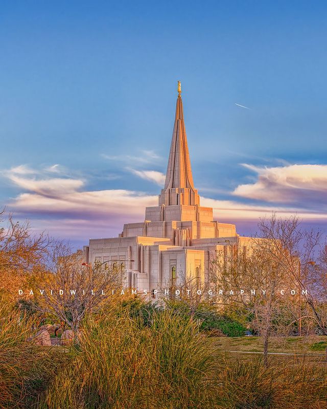 Gilbert LDS Temple, Arizona D851888