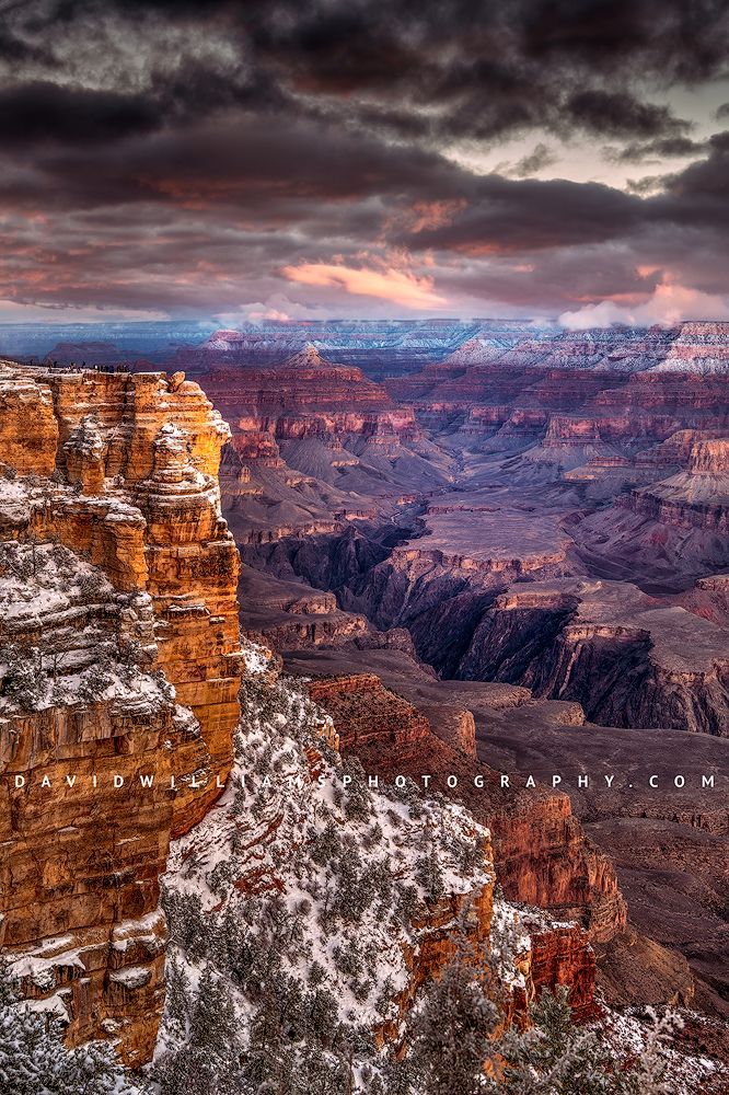 Grand Canyon D851269