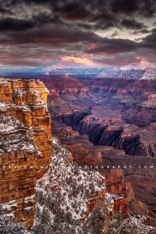 Grand Canyon D851269