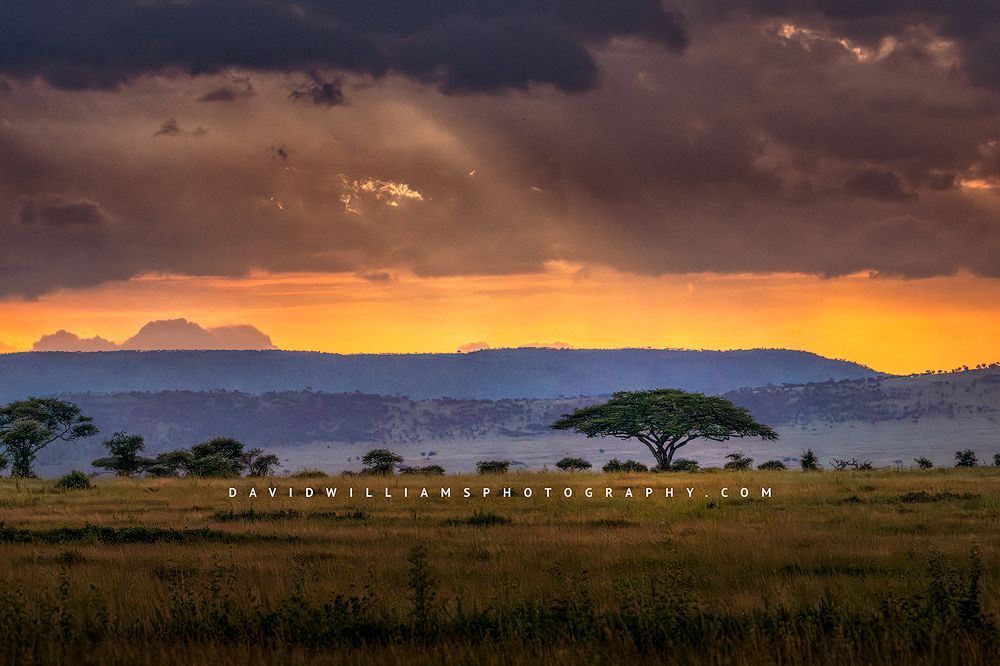 Ngorongoro Sunset NZ93050