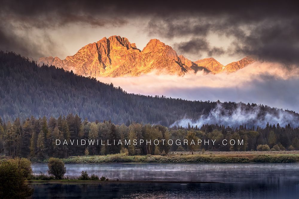 Teton Sunrise NZ99964 Teton Sunrise NZ99964