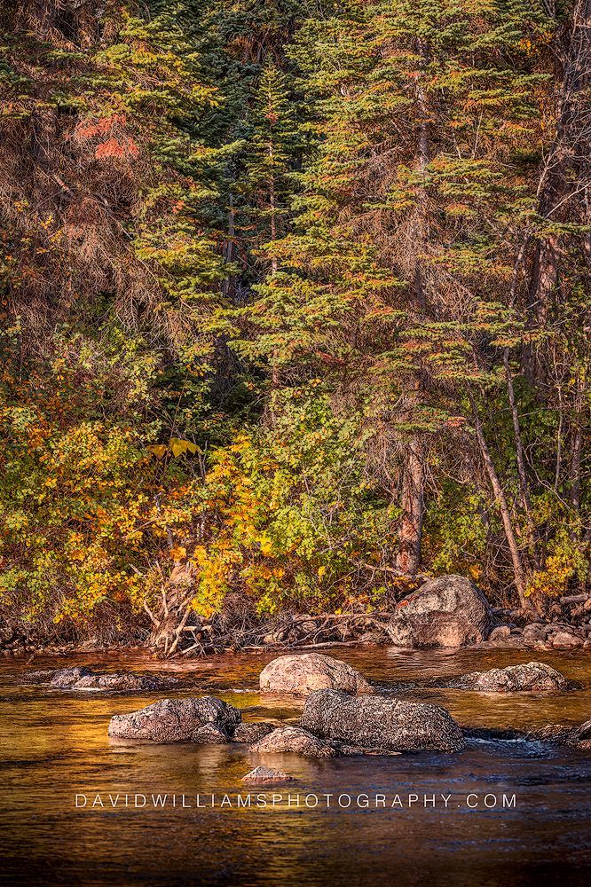 Teton Sunrise on the River NZ91009 Teton Sunrise on the River NZ91009