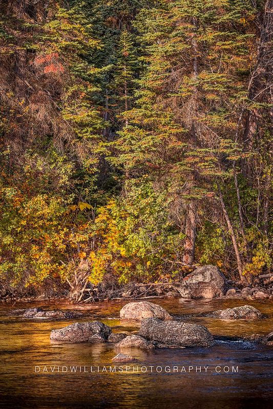 Teton Sunrise on the River NZ91009
