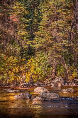 Teton Sunrise on the River NZ91009 Teton Sunrise on the River NZ91009