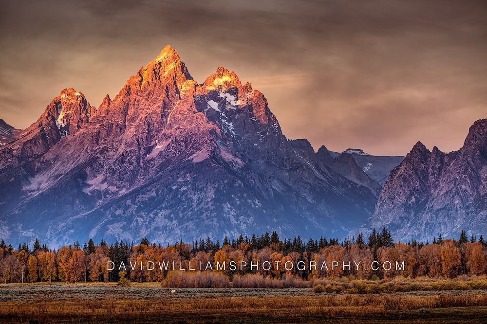 Teton Sunrise Nz91022