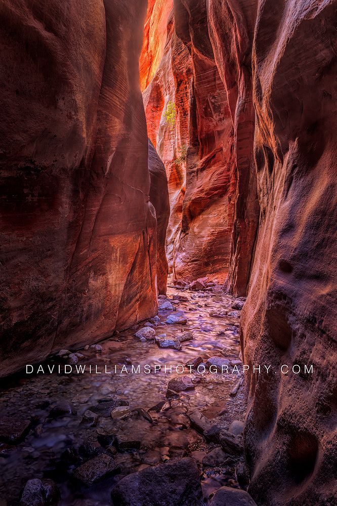 Kanarra Falls Utah NZ91583 Kanarra Falls Utah NZ91583